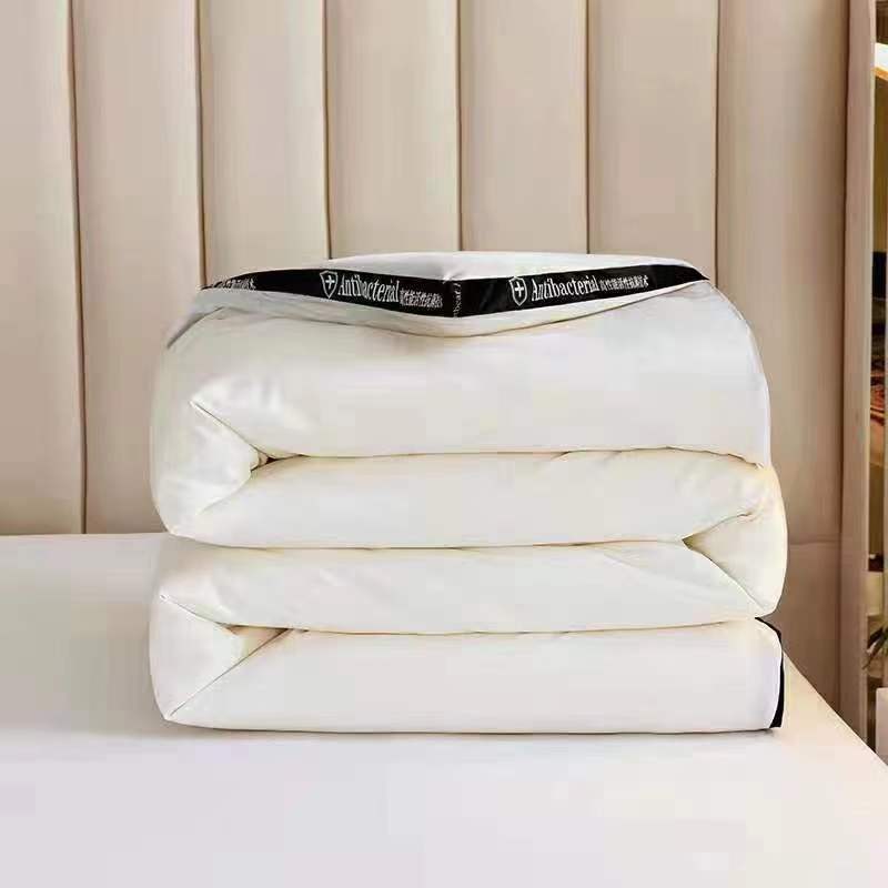 Pure Color Soybean Dimensional Winter Quilts